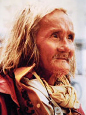 Bùi Giáng trong cái nhìn của phê bình văn học ở miền Nam trước năm 1975